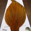 画像6: 【WHITING】Hebert ROOSTER CAPE PRO Grade - Rusty Dun (6)