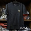 画像1: 【SIMMS】NEON DRAFT T-SHIRT (1)