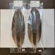 画像2: 【CANAL】PEACOCK QUILL L (2)