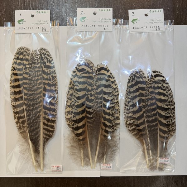 画像1: 【CANAL】 PEACOCK QUILL XS (1)