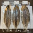 画像1: 【CANAL】PEACOCK QUILL XL (1)