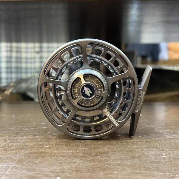 画像4: 【SAGE】SPECTRUM LT(SALE) (4)