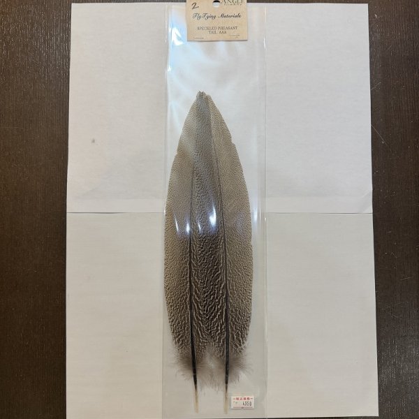 画像2: 【ANGLE】スペックルドフェザント ウィング (2)