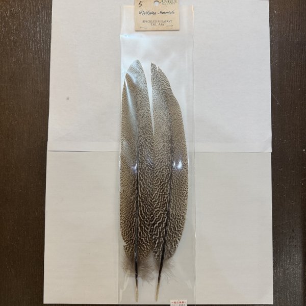 画像5: 【ANGLE】スペックルドフェザント ウィング (5)
