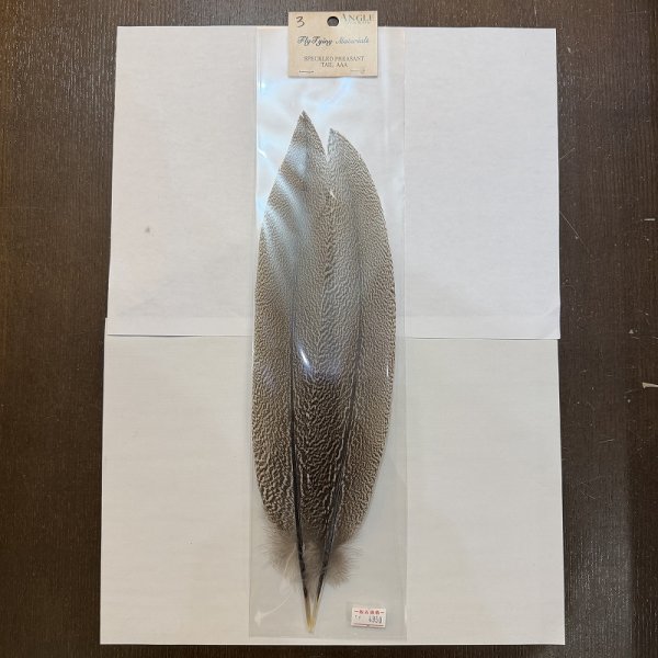 画像3: 【ANGLE】スペックルドフェザント ウィング (3)
