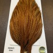 画像5: 【WHITING】Hebert ROOSTER CAPE Pro Grade - BARRED DARK Ginger No.2 (5)