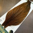 画像3: 【WHITING】Hebert ROOSTER CAPE PRO Grade - Rusty Natural Dun (3)