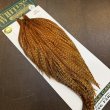 画像2: 【WHITING】Hebert ROOSTER CAPE Pro Grade - BARRED DARK Ginger No.2 (2)
