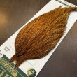 画像3: 【WHITING】Hebert ROOSTER CAPE Pro Grade - BARRED DARK Ginger No.2 (3)