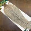 画像2: 【WHITING】Hebert ROOSTER CAPE Bronze Grade - LIGHT GREY DUN No.1 (2)