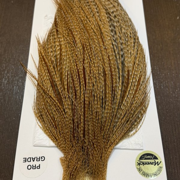 画像5: 【WHITING】Hebert ROOSTER CAPE Pro Grade - BARRED Medium Ginger No.1 (5)