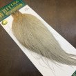 画像2: 【WHITING】Hebert ROOSTER CAPE PRO Grade - LIGHT GREY DUN (2)