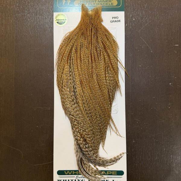 画像1: 【WHITING】Hebert ROOSTER CAPE Pro Grade - BARRED Medium Ginger No.1 (1)