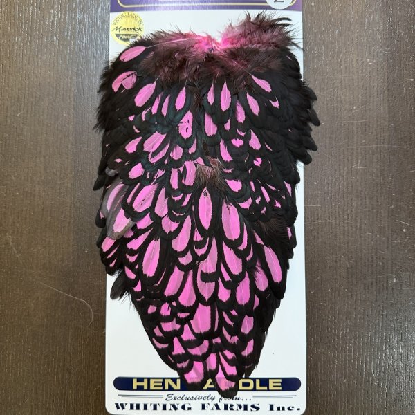 画像2: 【WHITING】American Hen Saddle BLW/PINK (2)