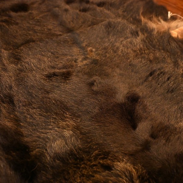 画像7: 北海道産 ヒグマ コンプリート 370kg 全長210cm (7)