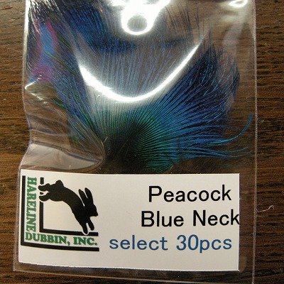 画像1: 【HARELINE】Peacock Blue Neck
