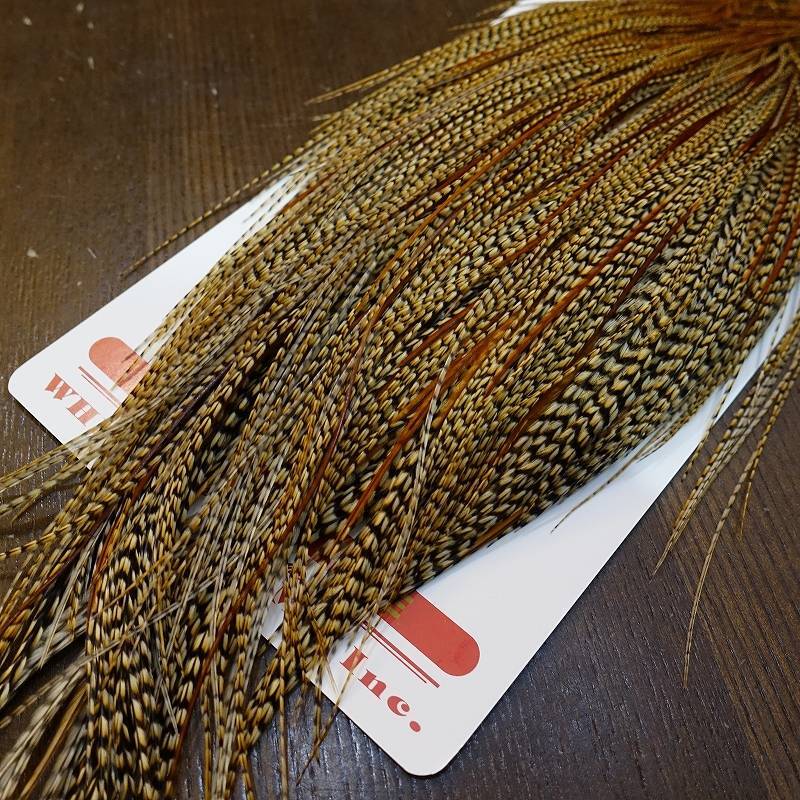 Whiting】ROOSTER CAPE GOLD Grade - CREE