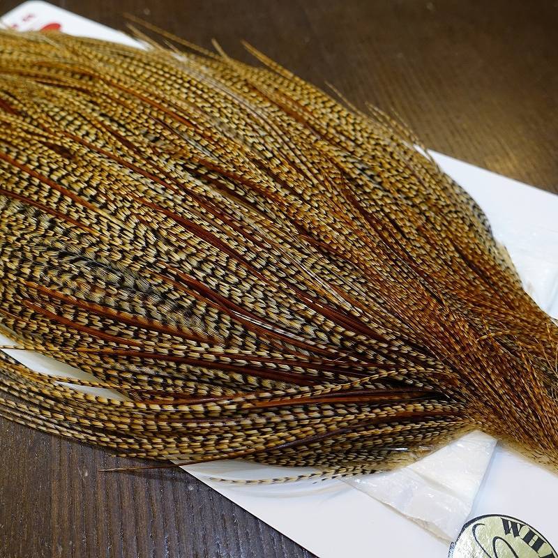 Whiting】ROOSTER CAPE GOLD Grade - CREE
